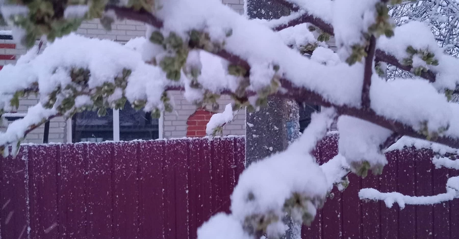 Аномальные холода в Украине – посреди весны снегом засыпало Днепропетровщину и Сумы 