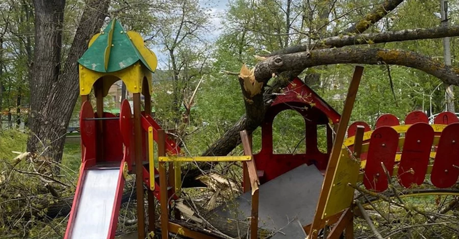 На Буковине из-за непогоды дерево упало на детской площадке - пострадали дети