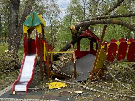 На Буковині через негоду дерево впало на дитячому майданчику - постраждали діти