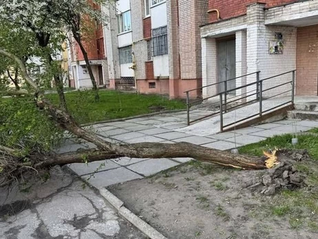 В Івано-Франківську та Луцьку вітер зносить дерева, а у Львові – випав сніг