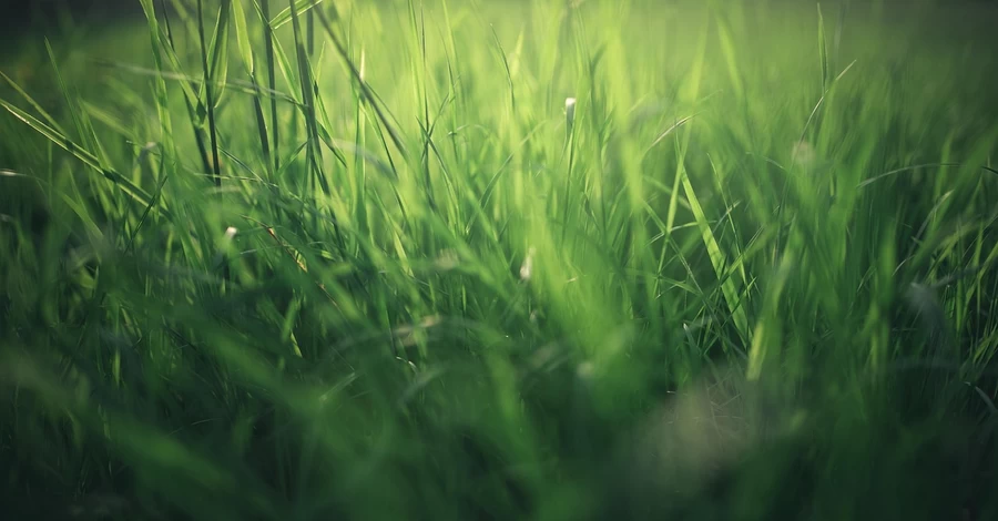 В Україну нарешті повертається тепло - в неділю прогнозують до +20 градусів