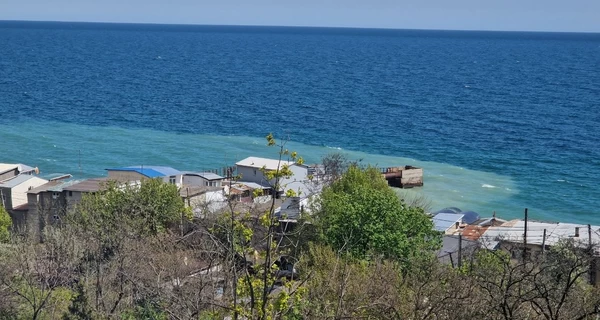 В Черном море после атаки РФ зафиксировали масштабное загрязнение маслом – до 800 км²