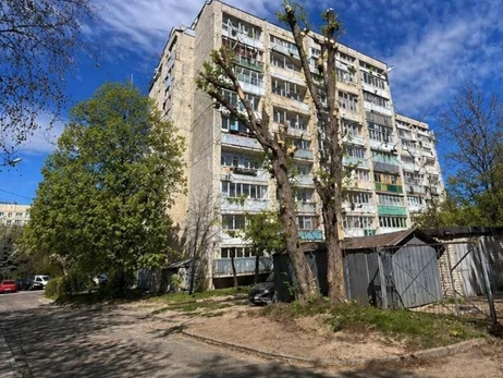 Во Львове вместо отчета об обрезке деревьев опубликовали ИИ-фото