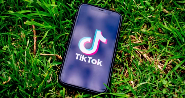 Опасный TikTok-тренд с нагреванием игрушек в микроволновке привел к ожогам у детей
