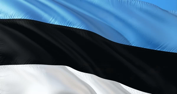 Естонія закликала Україну краще контролювати дрони після порушень повітряного простору