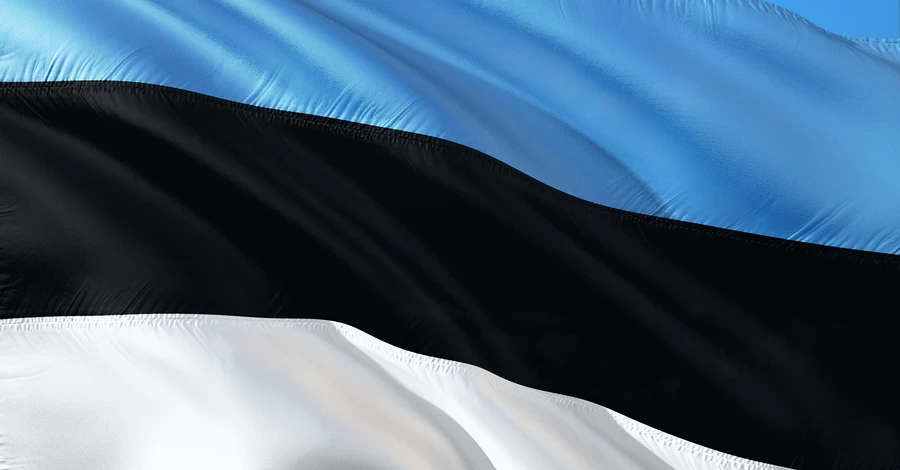 Эстония призвала Украину лучше контролировать дроны после нарушений воздушного пространства