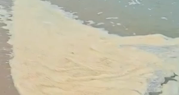 В нацпарке 