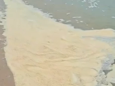В нацпарке 
