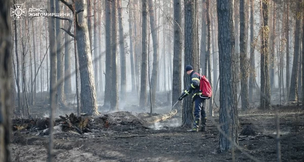На Житомирщині ліквідували масштабну пожежу в Поліському заповіднику, з якою боролися 12 днів