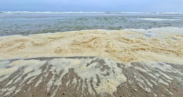 В 
