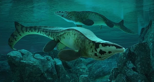 Ученые открыли новый вид гигантских рептилий – морской T. rex