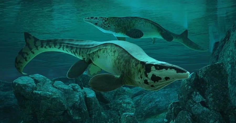 Вчені відкрили новий вид гігантських рептилій - морський T. rex