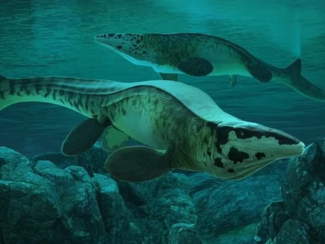 Вчені відкрили новий вид гігантських рептилій - морський T. rex