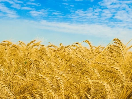 Венгрия случайно отменила запрет на импорт украинских продуктов