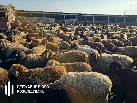 На Одещині посадовці організували схему з 
