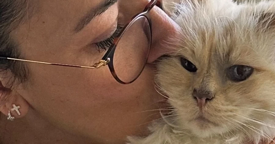 Кошка Карла Лагерфельда, на которую модельер переписал свое наследие, до сих пор не получила ни копейки
