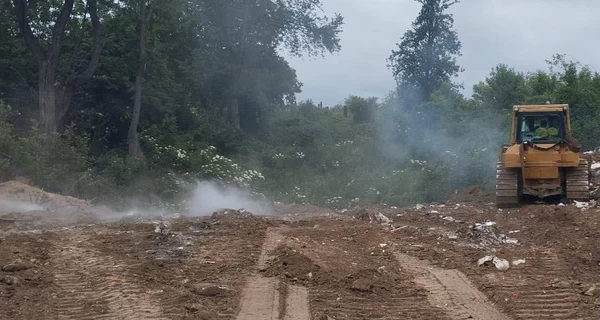 Во Львове молния попала в дерево возле кладбища, возник пожар