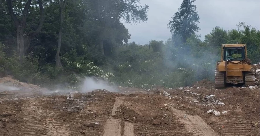 Во Львове молния попала в дерево возле кладбища, возник пожар