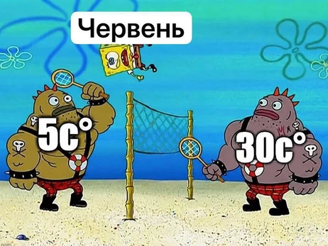 Анекдоти та меми тижня: маки, поляки і Крим без бензину