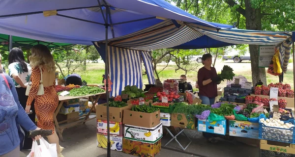 Овочі подешевшають, фрукти не особливо: що буде з цінами на продукти в середині літа