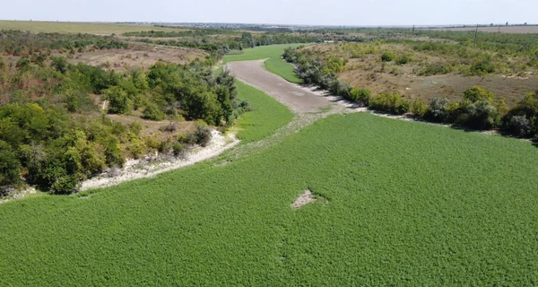 Вместо Каховского водохранилища: какую цену Украина заплатит за новый Великий Луг