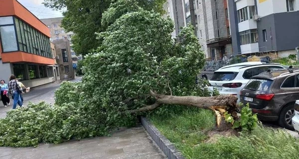 Негода у Львові – аномальний буревій зупинив трамваї та позривав дахи