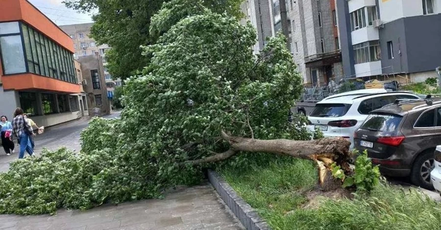 Непогода во Львове – аномальный ураган остановил трамваи и срывал крыши