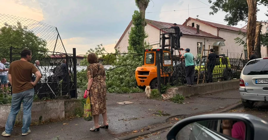 Во Львове молния поразила 6-летнюю девочку – ребенок в реанимации
