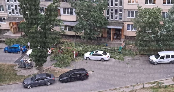 Киев и область наркрыла непогода - начались перебои со светом, ветер сносит конструкции 