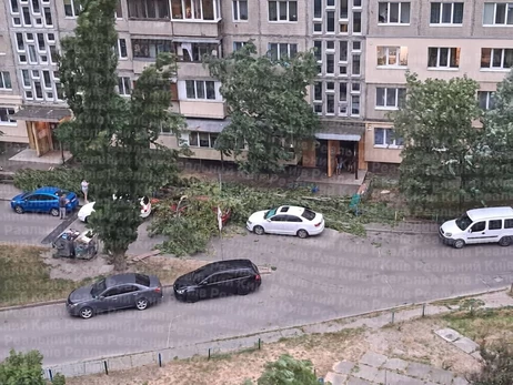 Киев и область наркрыла непогода - начались перебои со светом, ветер сносит конструкции 