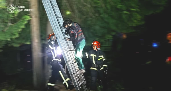 Во Львове спасатели сняли с дерева женщину, пытавшуюся спасти своего кота