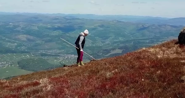 Сдирают до голого камня: как бизнес на исландском мхе уничтожает Карпаты 