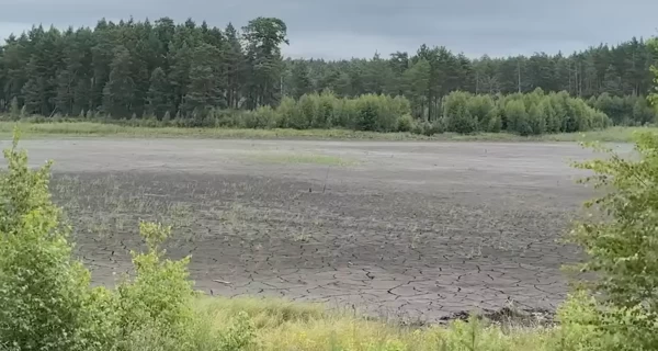 В Хмельницкой области высохло уникальное Святое озеро - что произошло