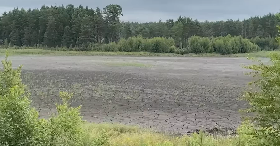 На Хмельниччині висохло унікальне Святе озеро - що сталося