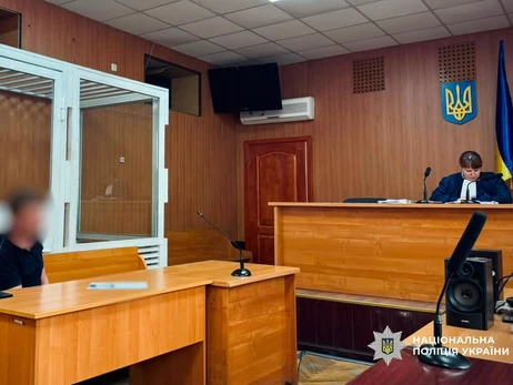 Одеситу, який жорстоко вбив свого кота, загрожує до 8 років увʼязнення