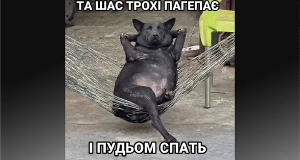 Анекдоти та меми тижня: укриття бронюємо заздалегідь і російська ракета у Польщі