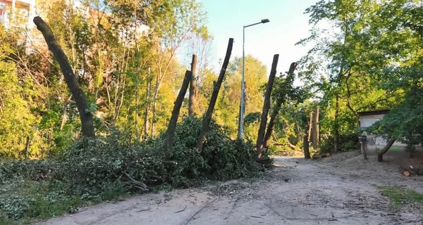 Два проєкти, План стійкості та вікові дуби - до чого призведе скандал на Теремках