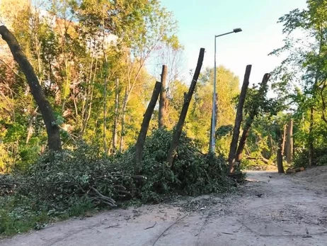 Два проєкти, План стійкості та вікові дуби - до чого призведе скандал на Теремках