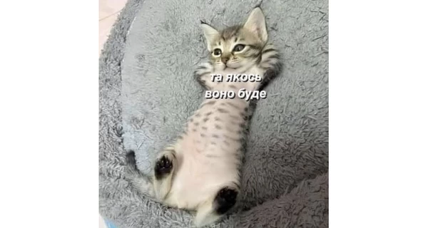 Анекдоти та меми тижня: До найважчої зими готуйсь, раз-два! Полякова вам у поміч