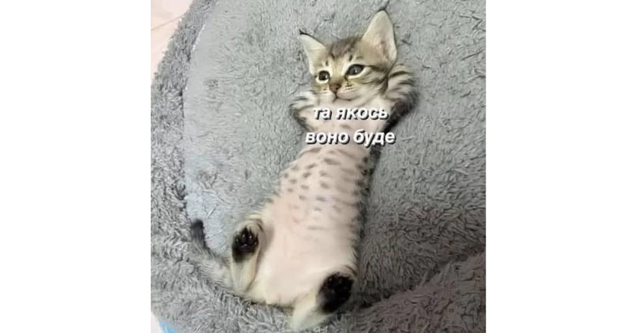 Анекдоты и мемы недели: К тяжелейшей зиме готовься, раз-два! Полякова вам в помощь