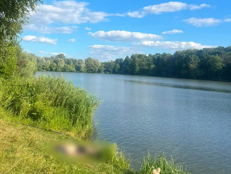 На Харківщині рибалка загинув від удару струмом, зачепившись вудочкою за дріт