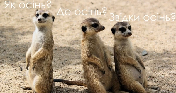 Анекдоти та меми тижня: Як ви провели літо? Поглядом