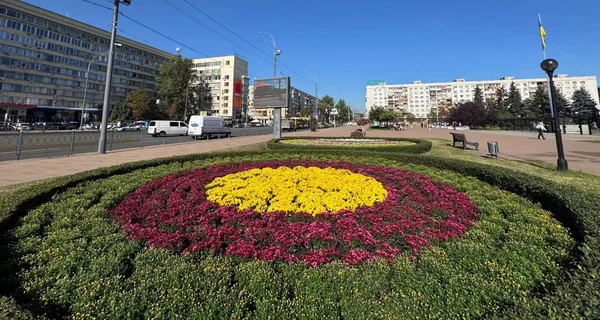 Киев украсили тысячами хризантем – в столице стартовал сезон цветов