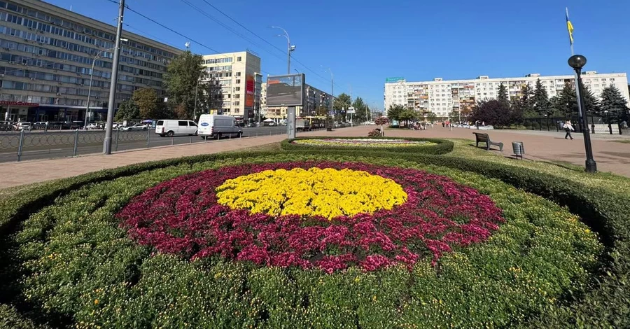 Київ прикрасили тисячами хризантем - у столиці стартував сезон квітів
