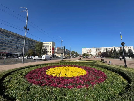 Киев украсили тысячами хризантем – в столице стартовал сезон цветов