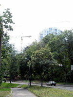 Парковую дорогу в Киеве застроят домами 