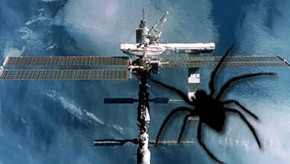 На Международной космической станции сбежал паук-дублёр   