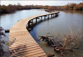 На Днепропетровщине создан ландшафтный заказник 