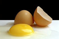 Экономический кризис нанёс жестокий удар по яйцам 