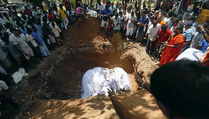 Похороны слона: как прошел обряд погребения священного животного